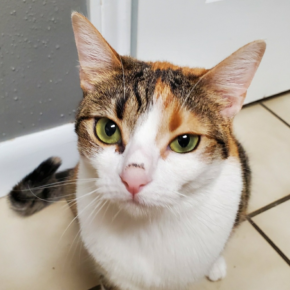 Meet your Posher, Jen